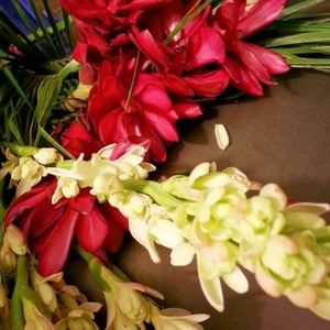 Meet your Posher, Carol